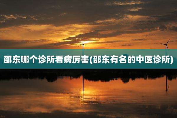 邵东哪个诊所看病厉害(邵东有名的中医诊所)
