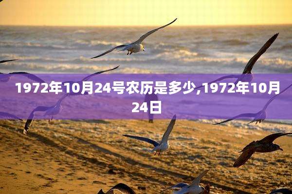 1972年10月24号农历是多少,1972年10月24日