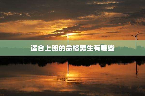 适合上班的命格男生有哪些