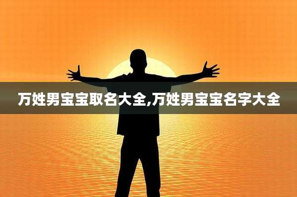 万姓男宝宝取名大全,万姓男宝宝名字大全