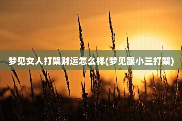 梦见女人打架财运怎么样(梦见跟小三打架)