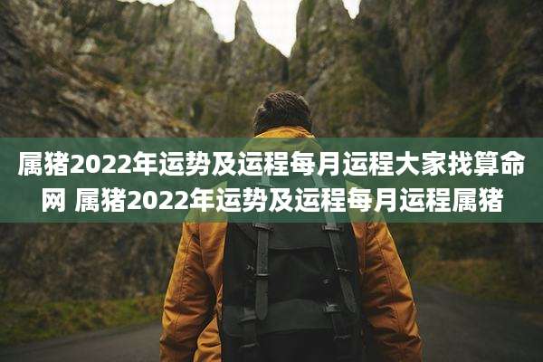 属猪2022年运势及运程每月运程大家找算命网 属猪2022年运势及运程每月运程属猪