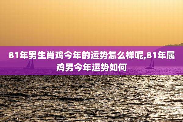 81年男生肖鸡今年的运势怎么样呢,81年属鸡男今年运势如何