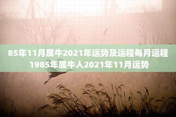 85年11月属牛2021年运势及运程每月运程 1985年属牛人2021年11月运势