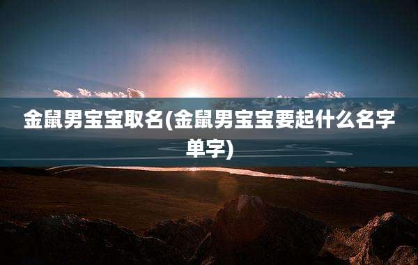 金鼠男宝宝取名(金鼠男宝宝要起什么名字单字)
