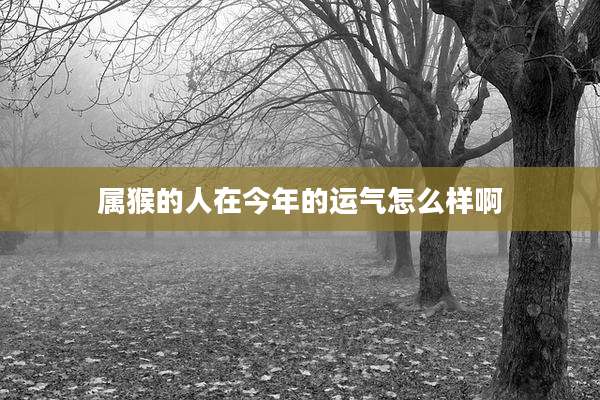 属猴的人在今年的运气怎么样啊