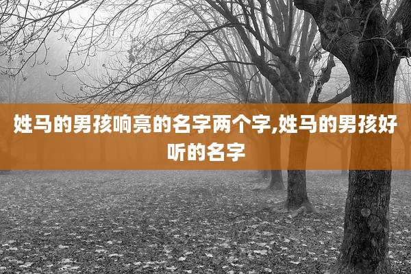 姓马的男孩响亮的名字两个字,姓马的男孩好听的名字