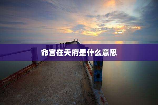 命宫在天府是什么意思