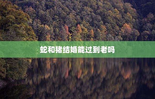 蛇和猪结婚能过到老吗