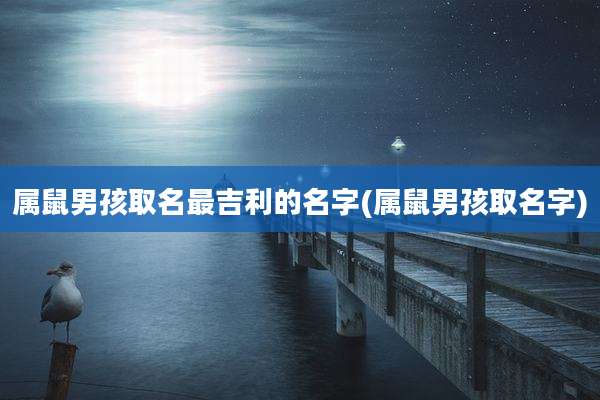 属鼠男孩取名最吉利的名字(属鼠男孩取名字)