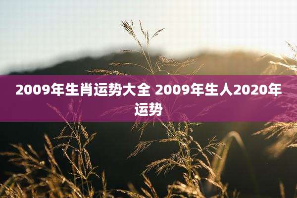 2009年生肖运势大全 2009年生人2020年运势