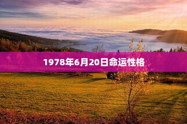 1978年6月20日命运性格