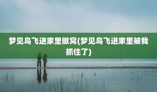 梦见鸟飞进家里做窝(梦见鸟飞进家里被我抓住了)