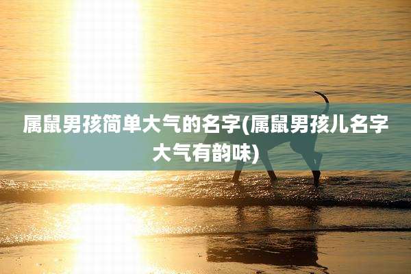 属鼠男孩简单大气的名字(属鼠男孩儿名字大气有韵味)
