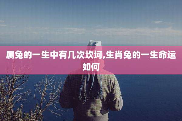 属兔的一生中有几次坎坷,生肖兔的一生命运如何