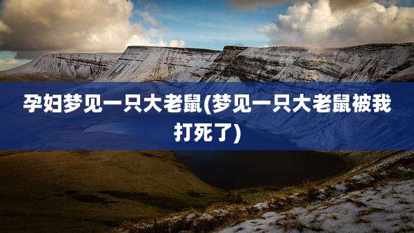 孕妇梦见一只大老鼠(梦见一只大老鼠被我打死了)
