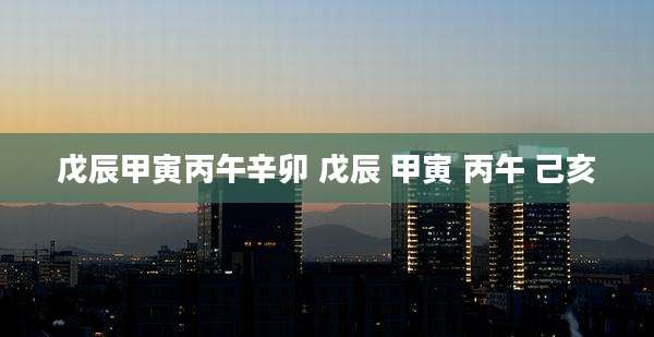 戊辰甲寅丙午辛卯 戊辰 甲寅 丙午 己亥