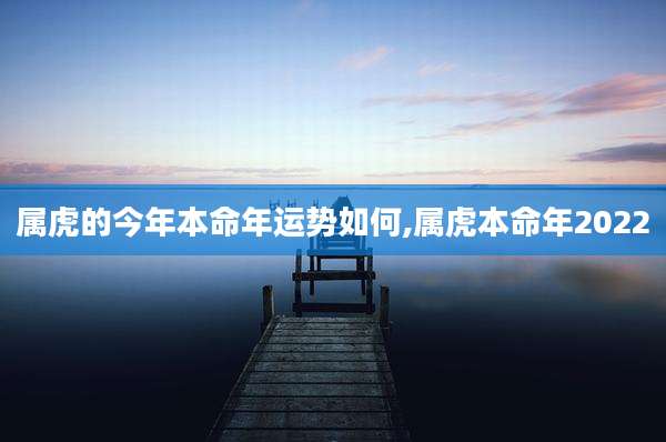 属虎的今年本命年运势如何,属虎本命年2022