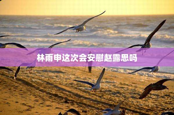 林雨申这次会安慰赵露思吗