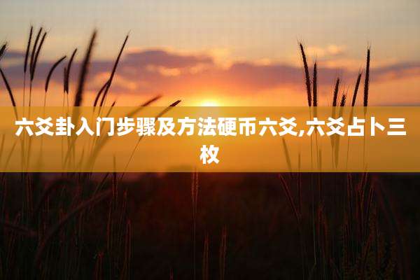 六爻卦入门步骤及方法硬币六爻,六爻占卜三枚