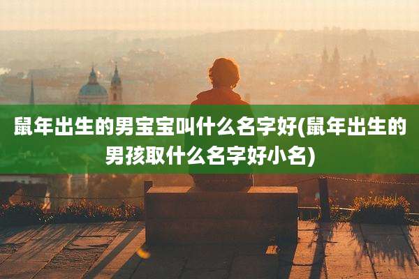 鼠年出生的男宝宝叫什么名字好(鼠年出生的男孩取什么名字好小名)