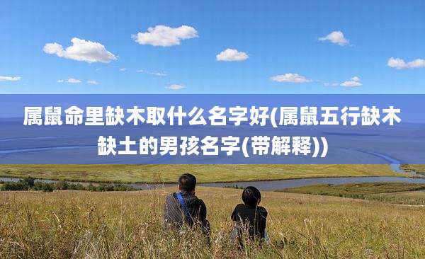 属鼠命里缺木取什么名字好(属鼠五行缺木缺土的男孩名字(带解释))