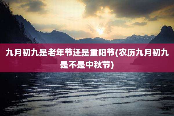 九月初九是老年节还是重阳节(农历九月初九是不是中秋节)
