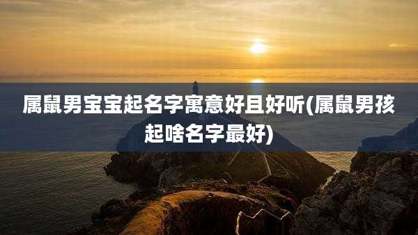 属鼠男宝宝起名字寓意好且好听(属鼠男孩起啥名字最好)
