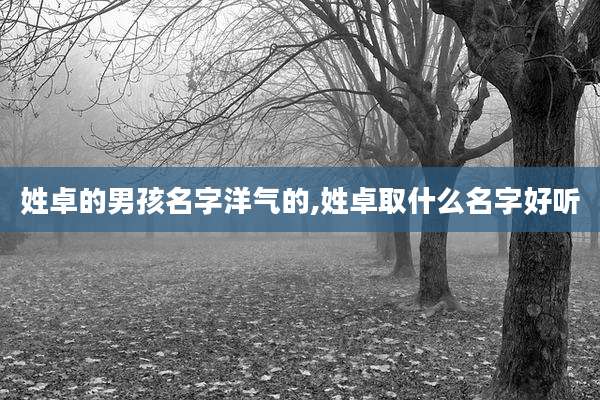 姓卓的男孩名字洋气的,姓卓取什么名字好听