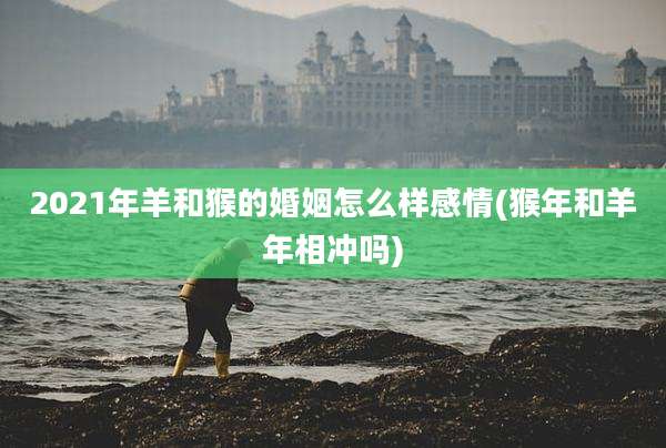 2021年羊和猴的婚姻怎么样感情(猴年和羊年相冲吗)