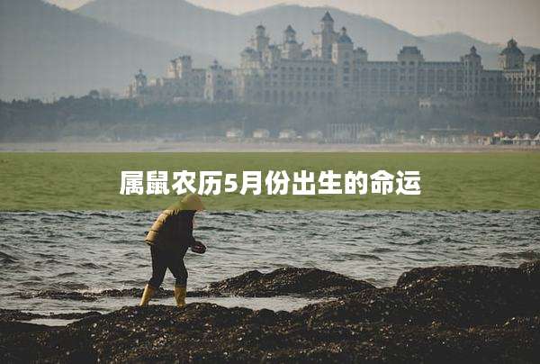 属鼠农历5月份出生的命运