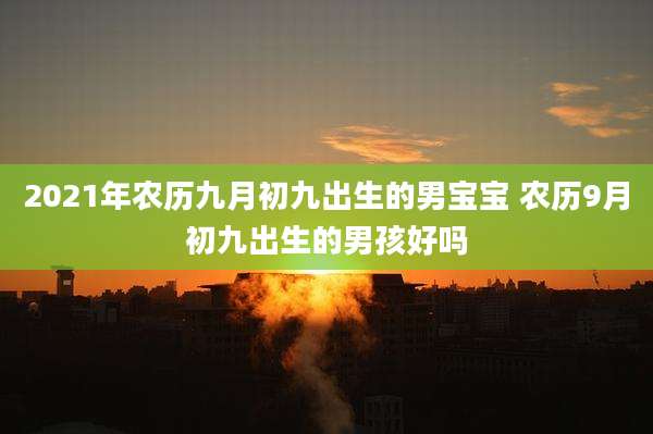 2021年农历九月初九出生的男宝宝 农历9月初九出生的男孩好吗