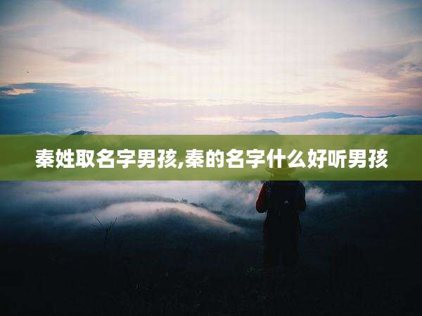 秦姓取名字男孩,秦的名字什么好听男孩