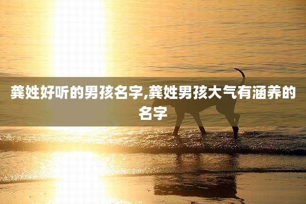 龚姓好听的男孩名字,龚姓男孩大气有涵养的名字