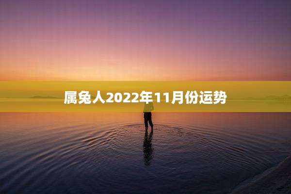 属兔人2022年11月份运势