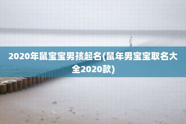 2020年鼠宝宝男孩起名(鼠年男宝宝取名大全2020款)