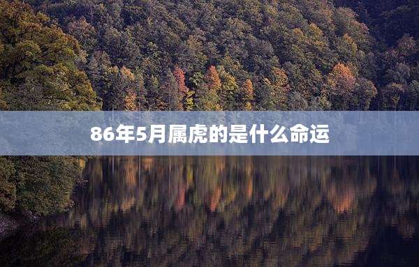 86年5月属虎的是什么命运