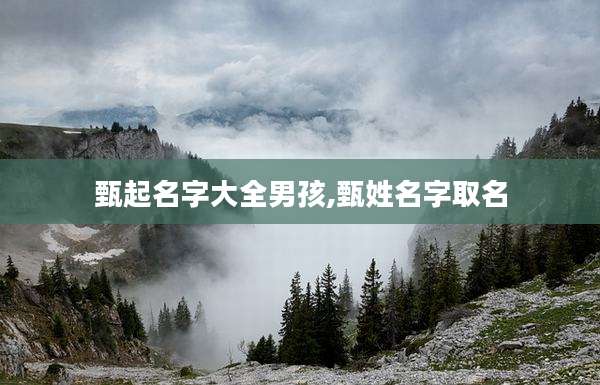 甄起名字大全男孩,甄姓名字取名