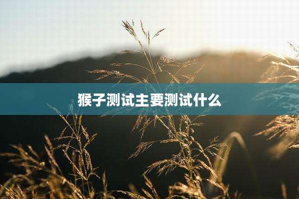 猴子测试主要测试什么