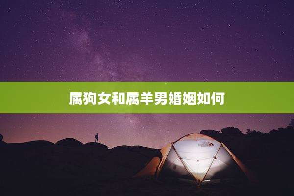 属狗女和属羊男婚姻如何