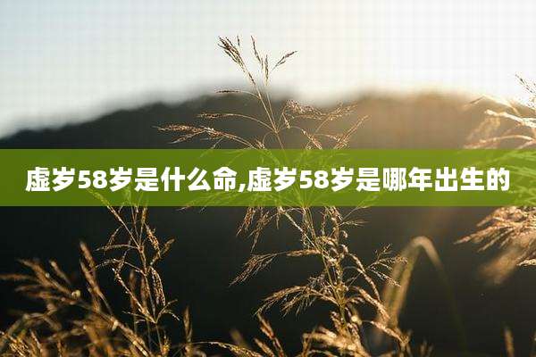 虚岁58岁是什么命,虚岁58岁是哪年出生的