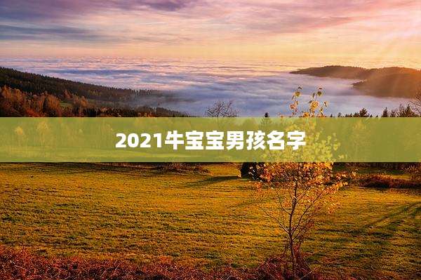 2021牛宝宝男孩名字