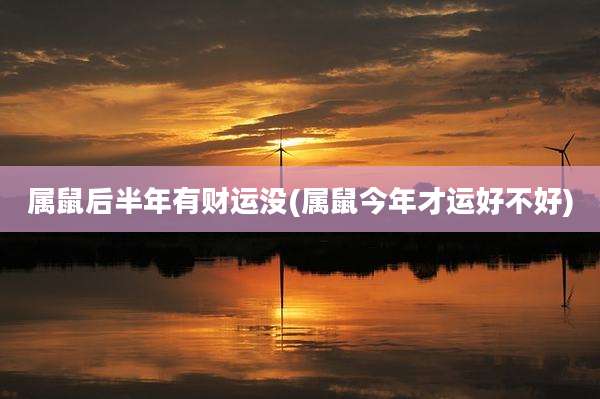 属鼠后半年有财运没(属鼠今年才运好不好)