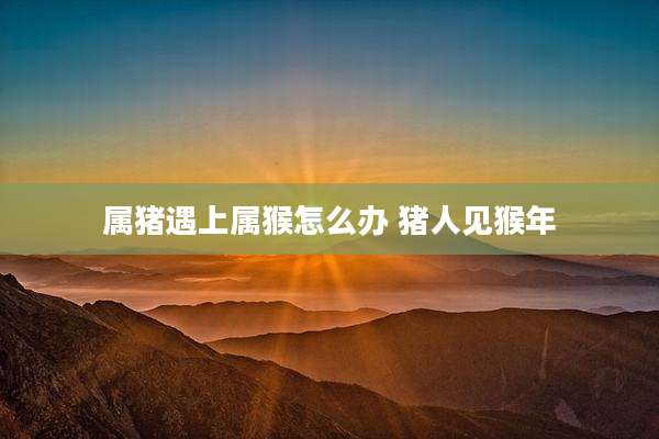 属猪遇上属猴怎么办 猪人见猴年
