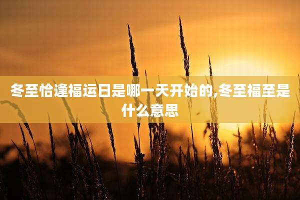 冬至恰逢福运日是哪一天开始的,冬至福至是什么意思