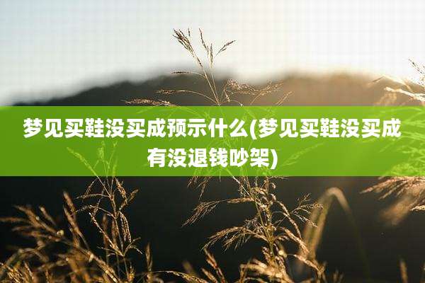 梦见买鞋没买成预示什么(梦见买鞋没买成有没退钱吵架)