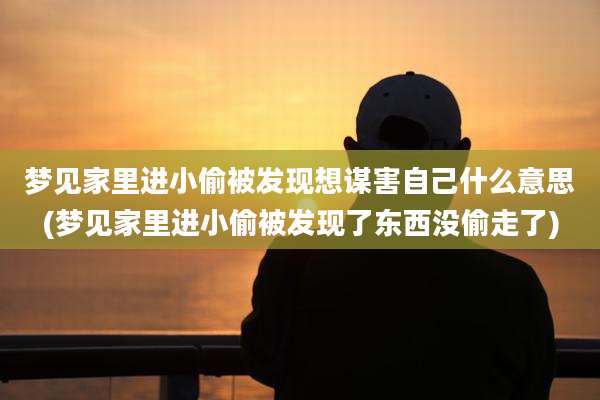 梦见家里进小偷被发现想谋害自己什么意思(梦见家里进小偷被发现了东西没偷走了)