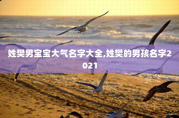 姓樊男宝宝大气名字大全,姓樊的男孩名字2021
