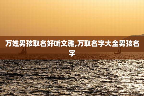 万姓男孩取名好听文雅,万取名字大全男孩名字