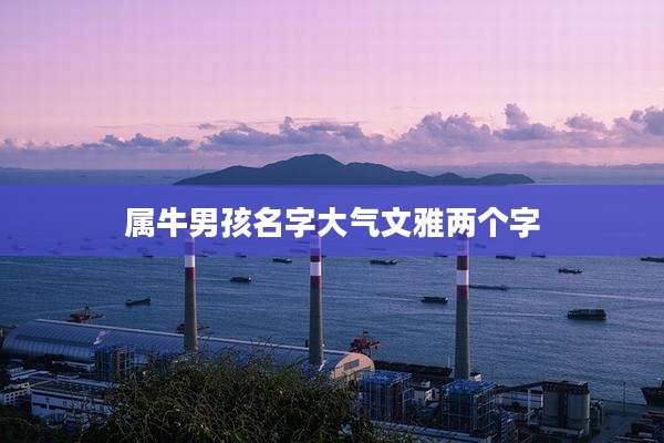 属牛男孩名字大气文雅两个字
